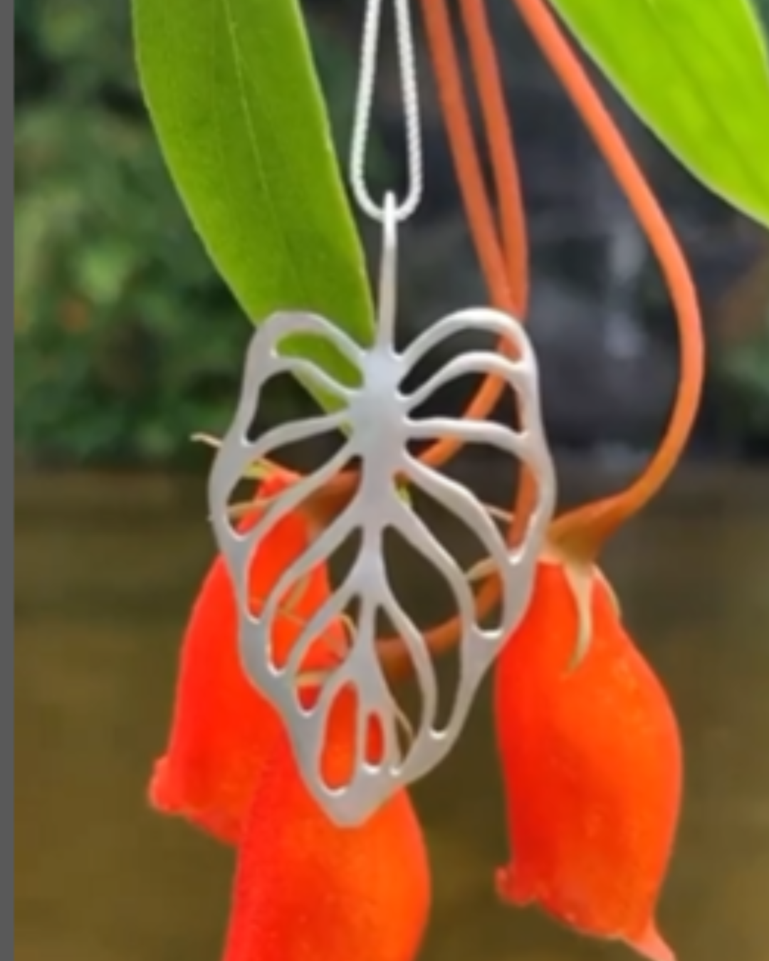 Colar Folha G Antúrio