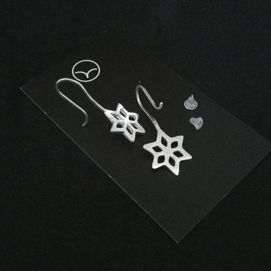 Brinco Estrela gancho