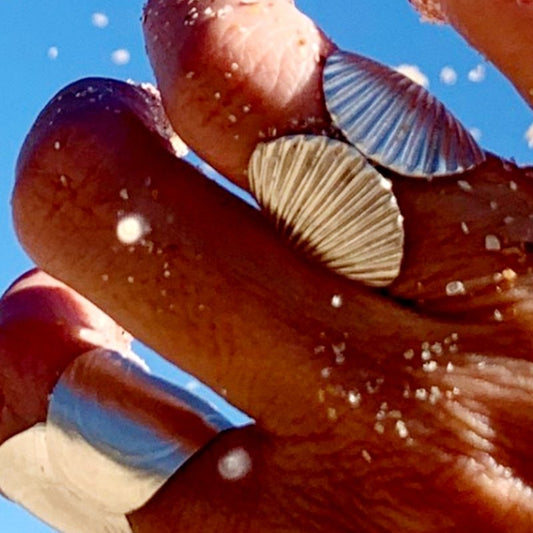 Anel Prata 950 Ilha Bela